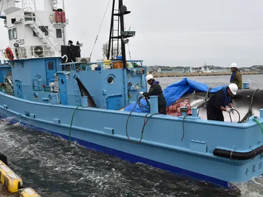 Paus Minke dibawa sebuah kapal di pelabuhan Kushiro, Prefektur Hokkaido, Jepang (1/7/2019). Jepang memulai kembali perburuan paus komersil pertama kalinya dalam 33 tahun, setelah menarik diri dari Komisi Penangkapan Paus Internasional (IWC). (AFP Photo/Kazuhiro Nogi)