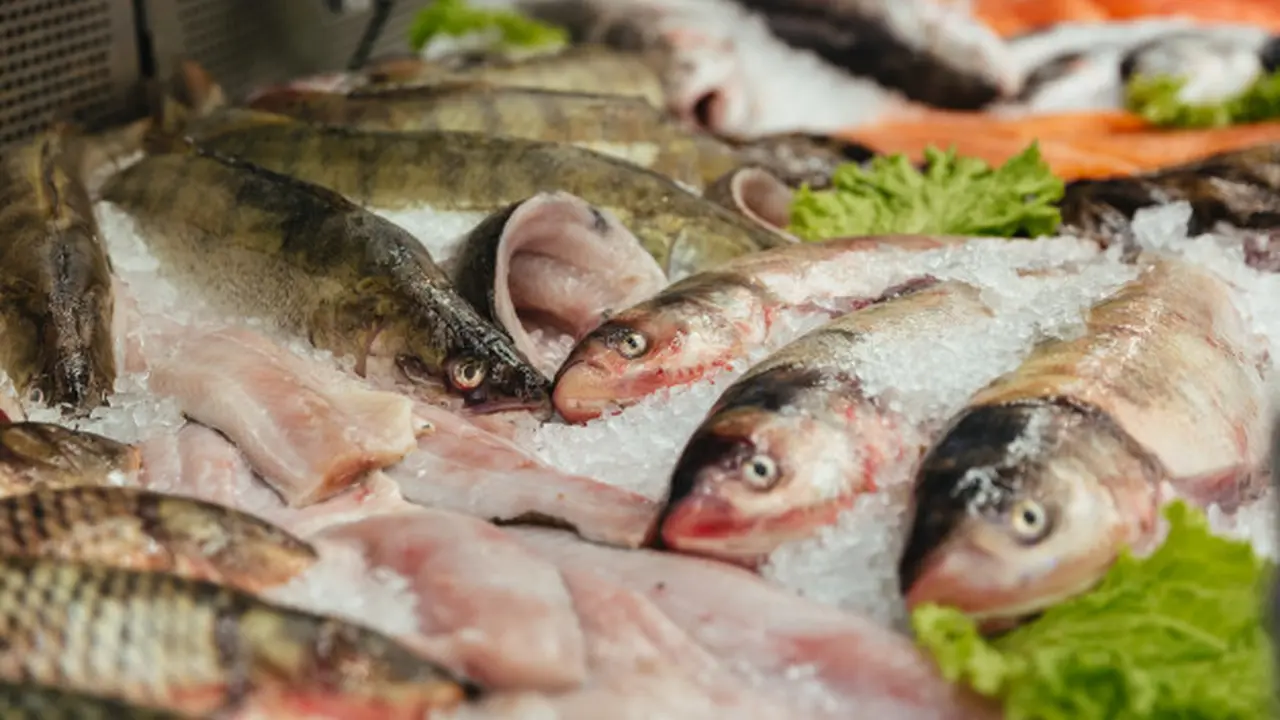 Cara Menyimpan Daging Ikan