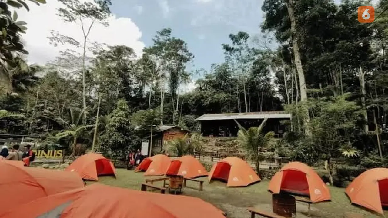 Sensasi merasakan kemah di alam terbuka di Pinus Camp Banyuwangi  (Hermawan Arifianto/Liputan6.com)