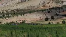 Pekerja menyingkirkan kotoran dan daun kering di ladang ganja di Lembah Bekaa, Desa Yammoune, Kota Baalbek, Lebanon, Senin (23/7). Lebanon adalah salah satu dari lima negara penghasil ganja terbesar di dunia menurut laporan UNDOC. (AP Photo/Hassan Ammar)