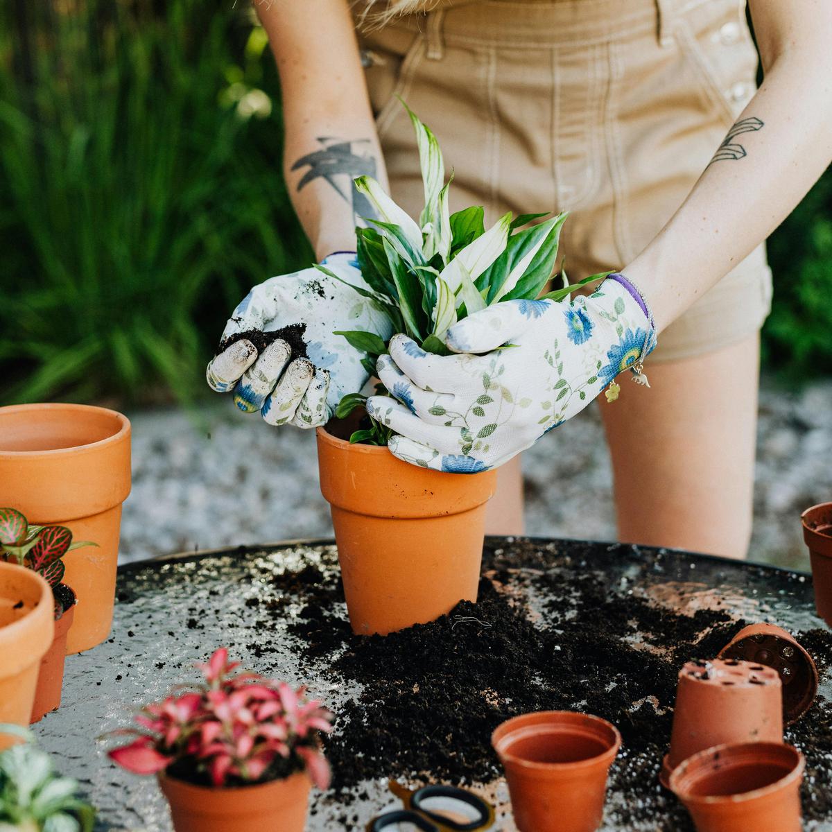 Jenis Kegiatan Berkebun yang Memberikan Latihan Fisik