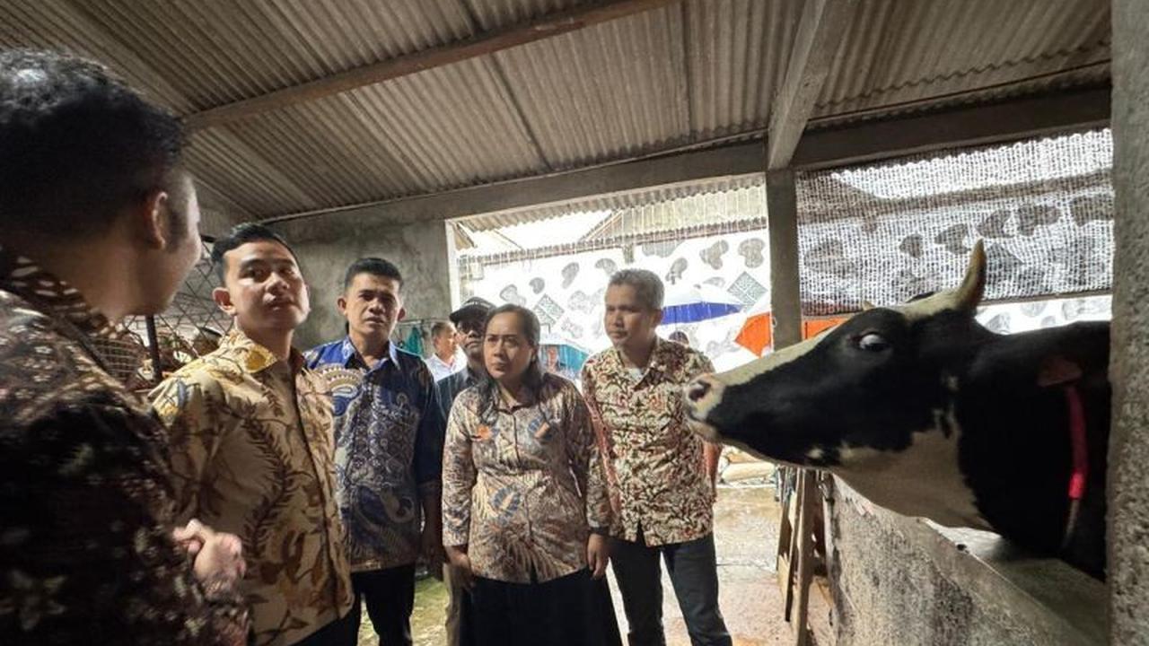 Wapres Gibran Dorong Hilirisasi Industri Sapi Boyolali, Tingkatkan Ekonomi Peternak