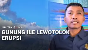 Gunung Ile Lewotolok Erupsi, 11 Desa di Lembata Terdampak Abu Vulkanik