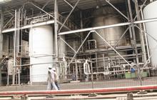 Pangkas Ketergantungan BBM, Perusahaan Ini Bisa Hasilkan Bioethanol 99,9 Persen