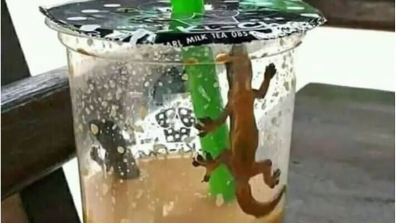 Apes Banget, 6 Momen Mengesalkan Pas Beli Makanan