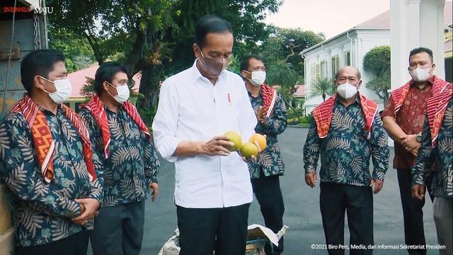 <span>Presiden Joko Widodo atau Jokowi takjub melihat kiriman jeruk seberat 3 ton dari warga Liang Melas Datas, Kabupaten Karo, Sumatera Utara yang tiba di Istana Negara Jakarta, Senin (6/12/2021). (tangkapan layar Youtube Sekretariat Preiden)</span>