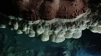Awan gua yang ditemukan di Daerah Otonom Etnis Zhuang Guangxi, China selatan. (Xinhua)