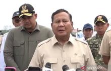 Pemerintah Tegas Tertibkan Pembalakan Liar, Presiden Prabowo: Sudah Kita Mulai!