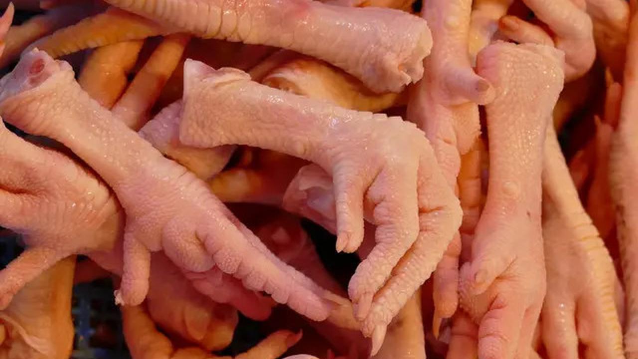 Rahasia Menyimpan Ceker Ayam Agar Tetap Segar Berbulan-bulan
