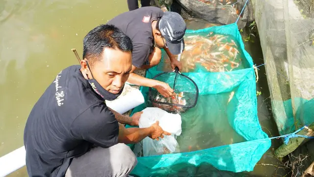 Banyuwangi