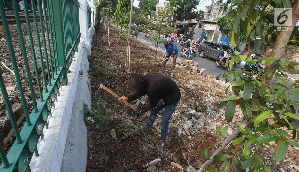 Pekerja menyelesaikan pembuatan taman dan trotoar di sepanjang Jalan Raya Lenteng Agung Timur, Jakarta, Kamis (28/9). Pembuatan taman bertujuan untuk ruang terbuka hijau agar tidak disalahgunakan sebagai hunian liar. (Liputan6.com/Immanuel Antonius)