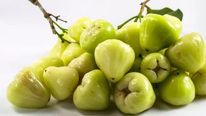 Foto: copyright Thiknstockphotos.com