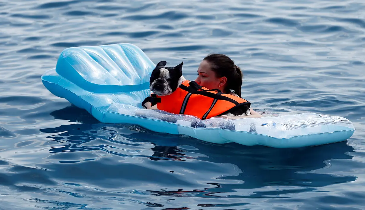 Seorang wanita dan anjingnya saat menikmati pantai anjing dan bar di Crikvenica, Kroasia, (12/7). Pantai dan bar ini dirancang khusus untuk para anjing dan pemiliknya demi merasakan kenikmatan Summertime bersama-sama. (REUTERS/Antonio Bronic)