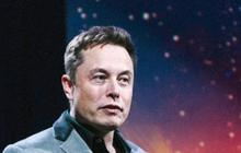 Luhut Telepon Elon Musk Minta Pasang Jaringan Internet di IKN Nusantara