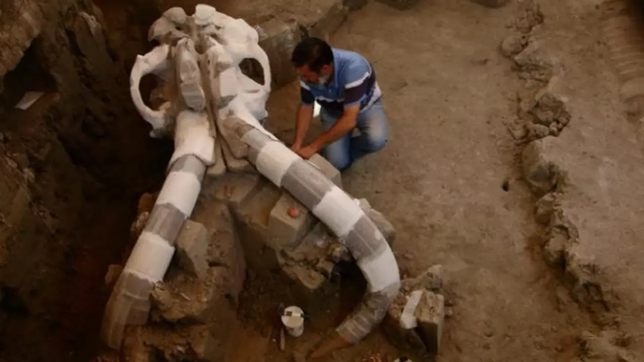Mammoth (0)