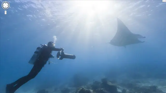 20 Pemandangan Bawah Laut Menakjubkan di Google StreetView