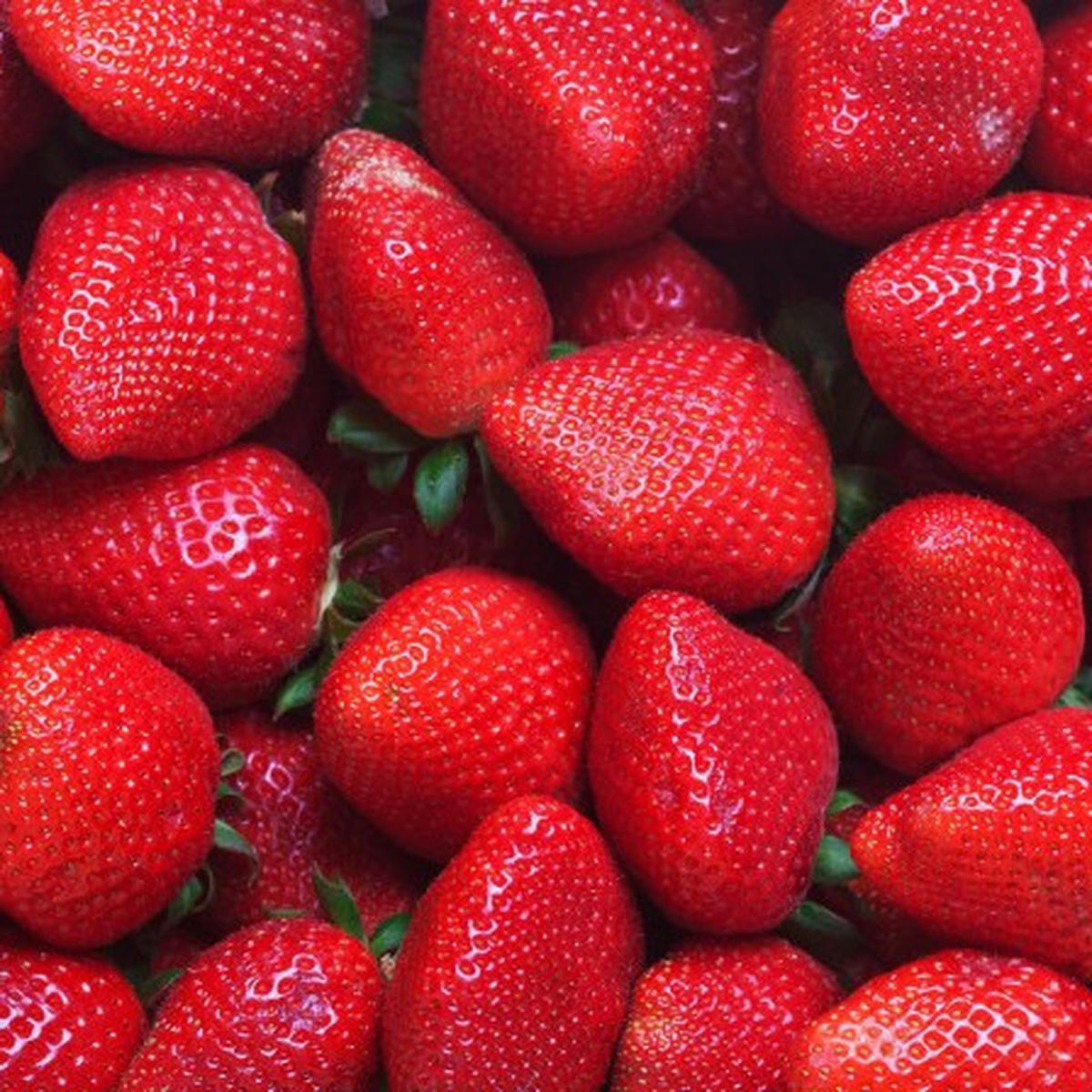 Gambar Ilustrasi Buah Stroberi