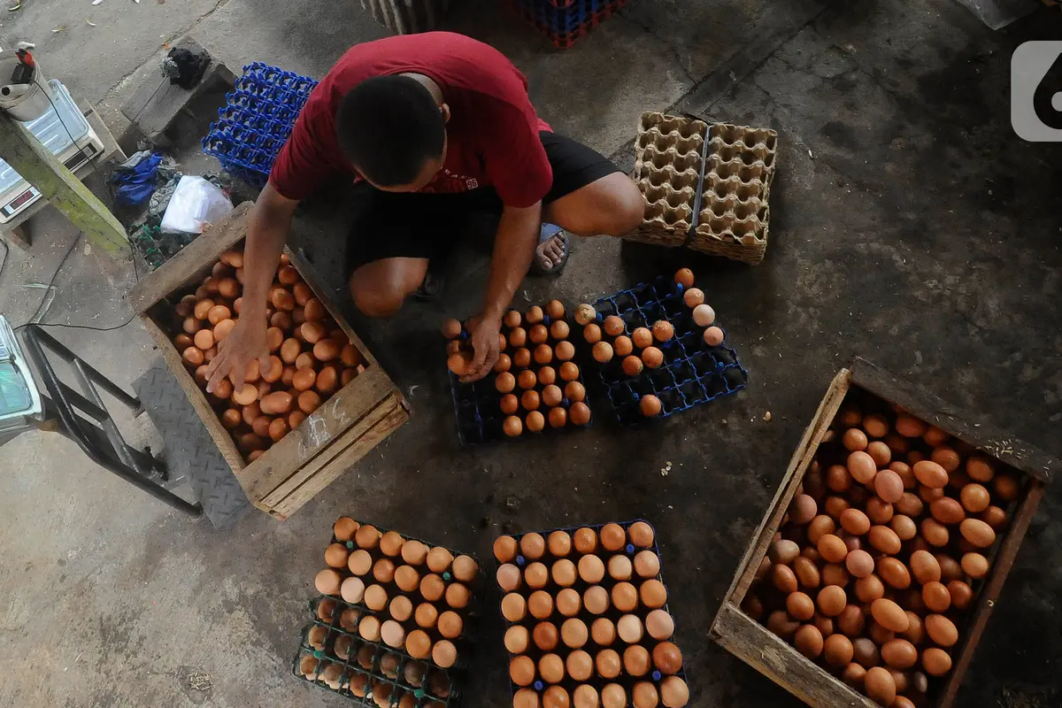 harga telur ayam tinggi