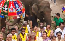 Kuil Hindu Terbesar di Indonesia Resmi Dibuka, Kementerian Kehutanan Kirimkan Dua Gajah Suci
