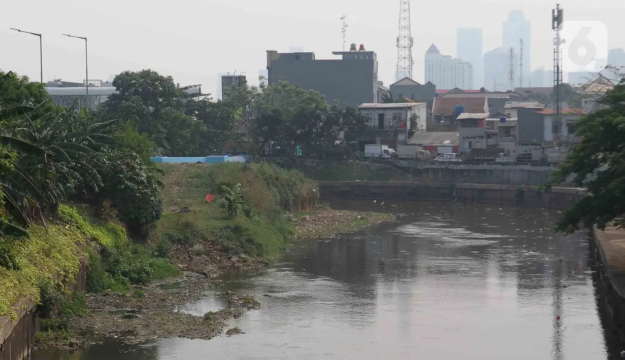 Aliran kali Ciliwung yang sudah dinormalisasi oleh Pemprov DKI Jakarta. (merdeka.com/Imam Buhori)