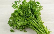 Rebusan Daun Seledri, Herbal Murah Meriah dengan Segudang Manfaat Kesehatan