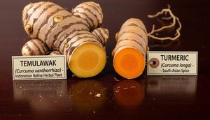 perbedaan temulawak dan kunyit. Foto: Gemini