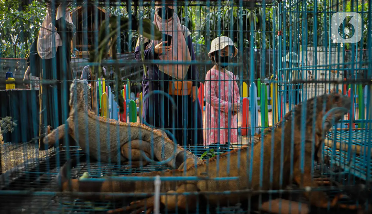 Pameran Flona 2023 menjadi ruang edukasi dan hiburan masyarakat Jakarta. (Liputan6.com/Faizal Fanani)
