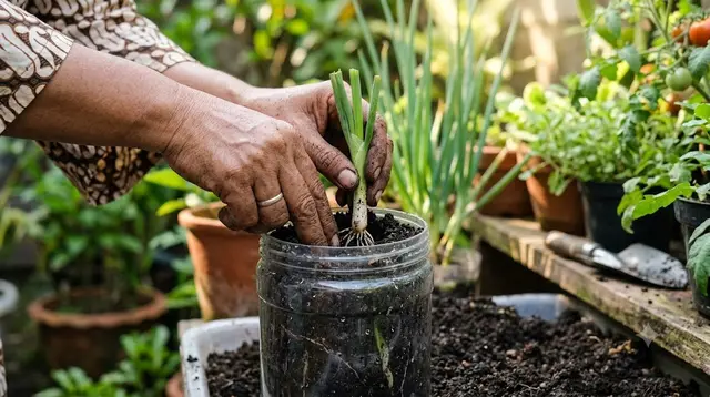 Cara Menanam Daun Bawang dari Batang, Panduan Lengkap agar Cepat Tumbuh dan Panen Berulang