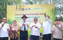 Kementan dan Gapki Perkenalkan Serangga Penyerbuk Kelapa Sawit Baru Tingkatkan Produktivitas