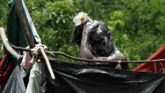 Seorang pria migran Afrika yang terdampar di Kosta Rika saat mandi di sebuah kamp darurat di perbatasan antara Kosta Rika dan Nikaragua, di Penas Blancas, Kosta Rika, (14/7). (REUTERS / Juan Carlos Ulate)