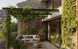 Model Teras Rumah dengan Tanaman Anggur Merambat di Tembok (Image by Gemini AI)