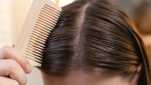 4. Sisir bagian akar setiap pagi