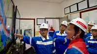 BPH Migas Cek Keandalan Pipa Gas Bumi di Wilayah Batam