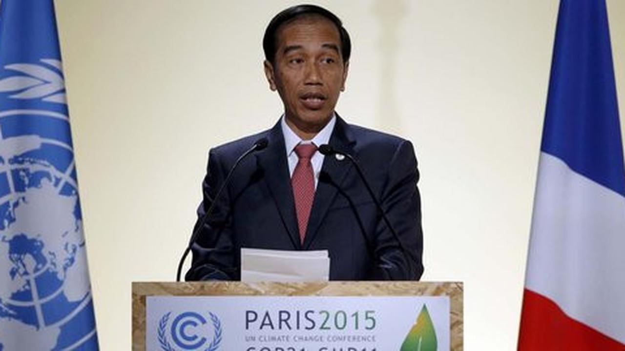 Di COP 21, Jokowi berkomitmen kelola hutan secara berkesinambungan