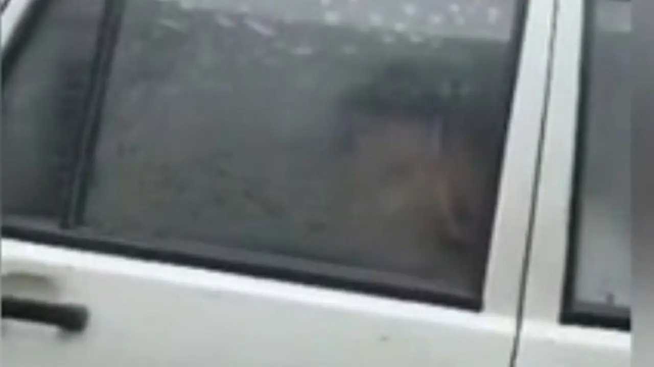 Mobil dipake bercinta