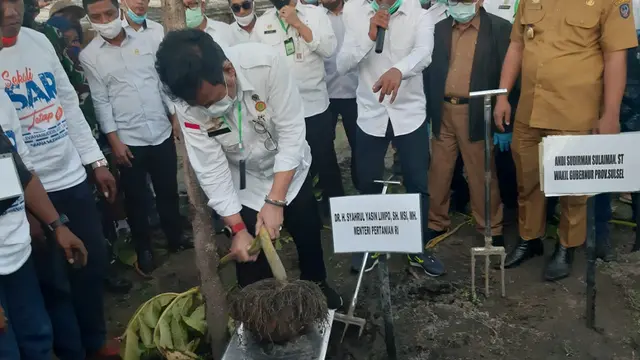 Menteri Pertanian Syahrul Yasin Limpo