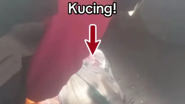 Kucing dalam karung yang dibuang ke tempat sampah