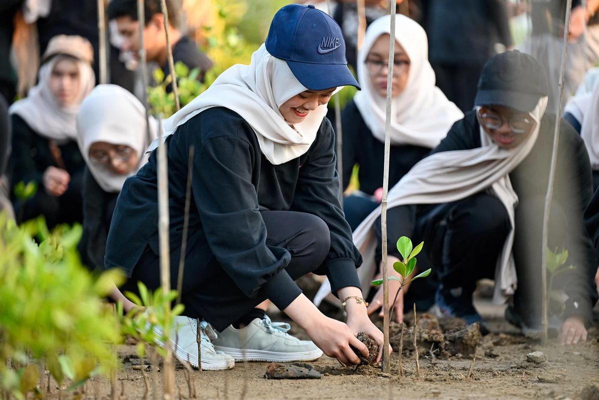 FOTO: Anak Muda Aceh Tanam Mangrove untuk Perkuat Ekosistem Pesisir