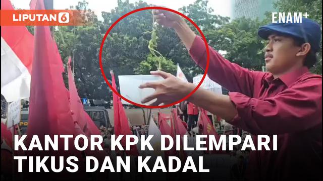 Mahasiswa Lempar Tikus dan Kadal ke Kantor KPK