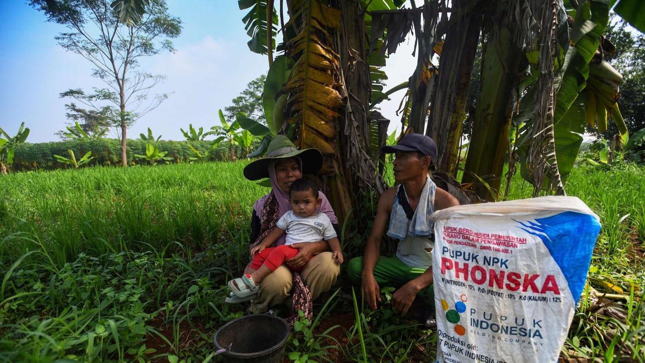 Distribusi Pupuk Subsidi ke Petani Mulai Lancar