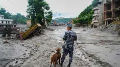 Seorang polisi bersama anjing pelacak mengamati kerusakan pascabanjir bandang di Devighat, distrik Nuwakot, Nepal, Kamis, 27 Agustus 2026. (Foto AP/Niranjan Shrestha)