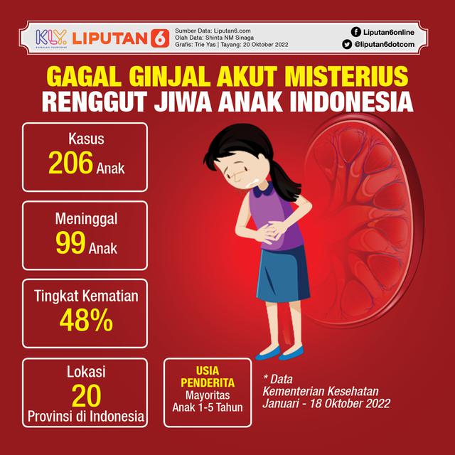 Infografis Gagal Ginjal Akut Misterius Renggut Jiwa Anak Indonesia