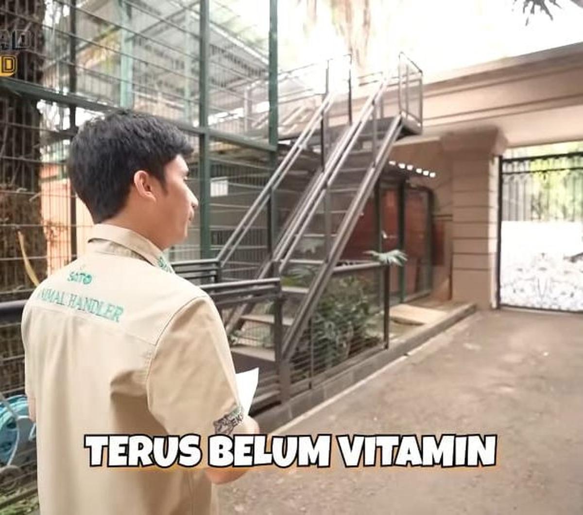 Dok. Istimewa