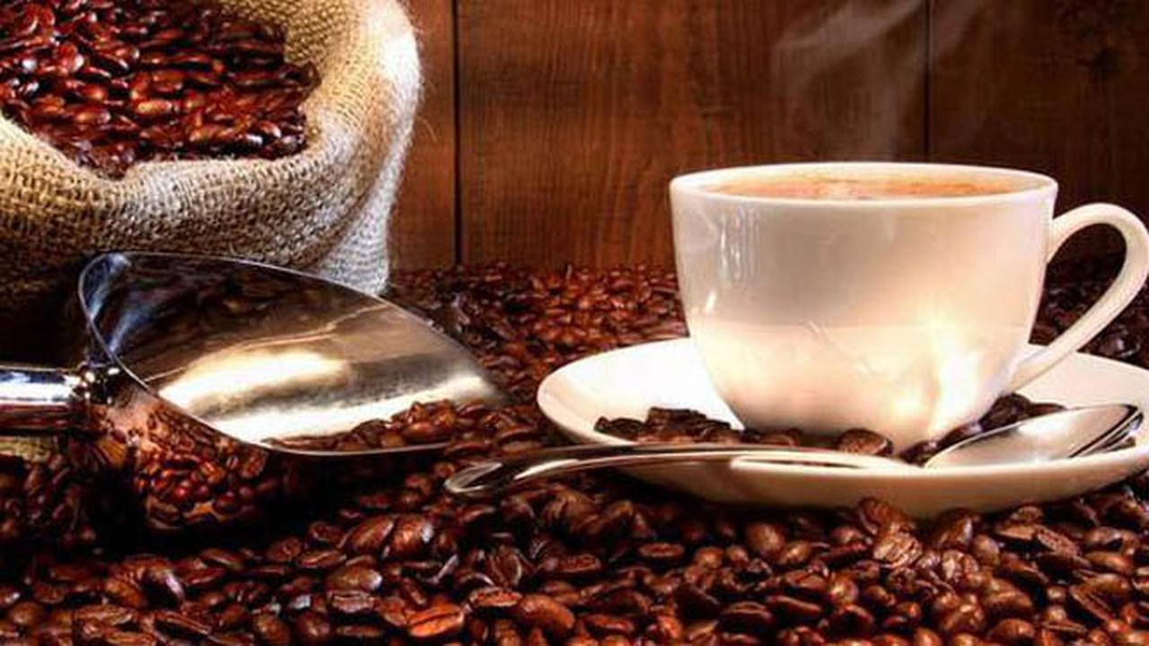 Java Coffee, Warisan Kopi Arabika Jawa yang Mendunia