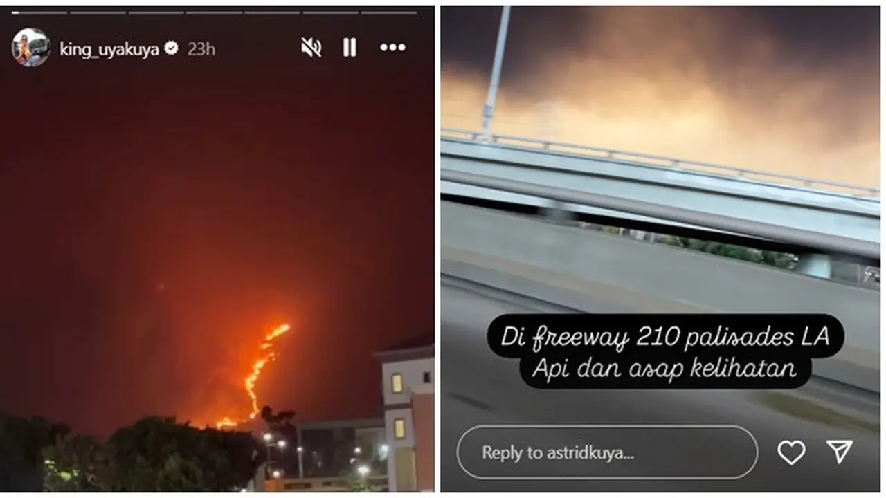 6 Potret Kebakaran di Los Angeles yang Dibagikan Keluarga Kuya, Api Cepat Menyebar