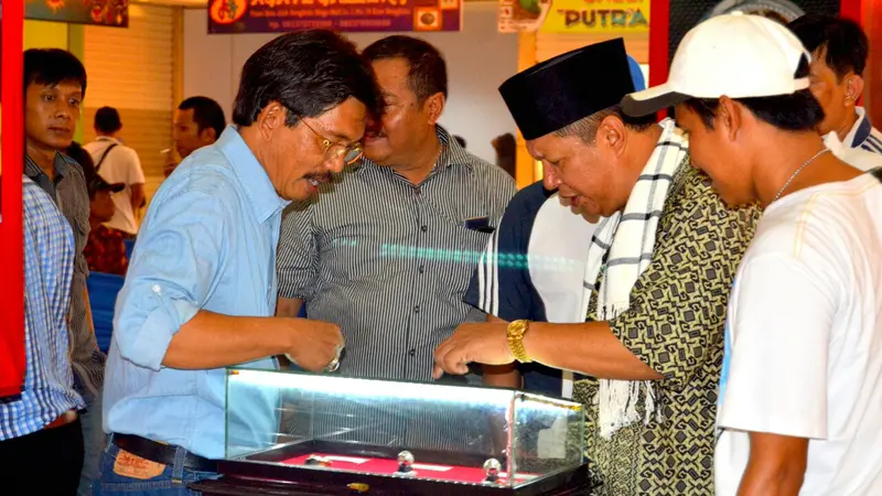  Komunitas Batu Mulia Bengkulu Gelar Kontes Batu Akik 