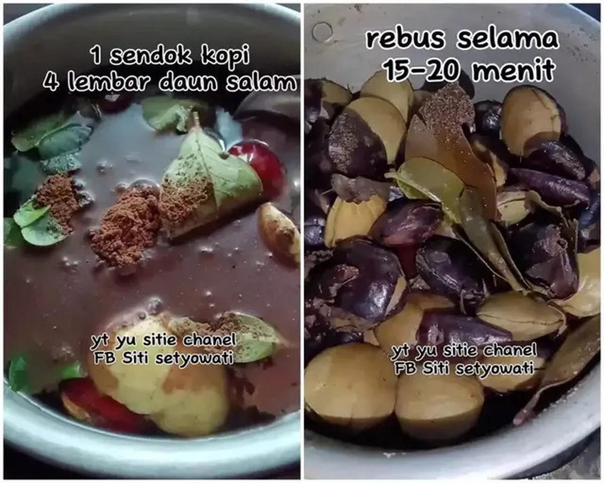 Cara Merebus Jengkol Agar Empuk dan Bebas Bau dalam 30 Menit