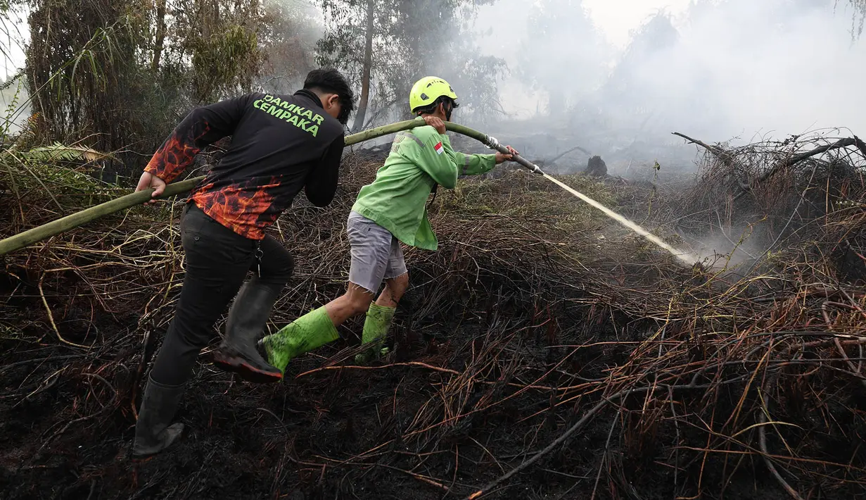Petugas pemadam kebakaran menyemprotkan air untuk memadamkan api yang melalap lahan gambut di Kubu Raya, Kalimantan Barat, Indonesia, Selasa, 11 Agustus 2026. (Foto AP/Stefanus Taman)
