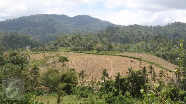 20160911 Mengintip Pembalakan Liar Yang Marak di Hutan Popayato Gorontalo