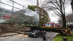 Sebuah mobil yang tertimpa pohon besar di Paris, Kamis (27/2/2020).  Angin kencang menumbangkan pohon besar hingga menimpa sebuah mobil di dekat Menara Eiffel dan menewaskan pengemudi di tempat. (Benoit Moser/BSPP via AP)